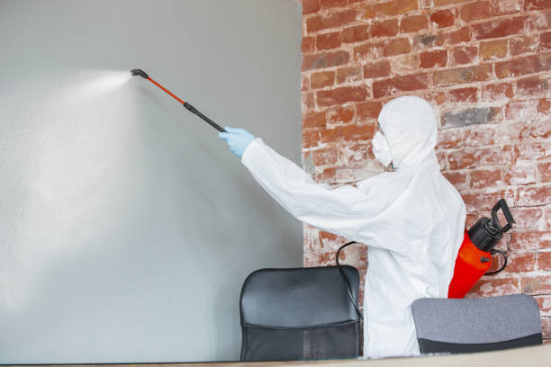 Best Biohazard Mold Removal  in Moreland, ID