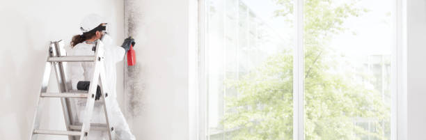 Best Mold Prevention Services  in Moreland, ID
