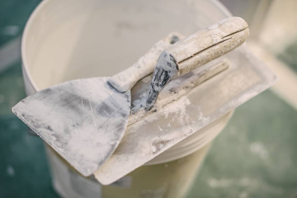 Best Mold Damage Restoration  in Moreland, ID